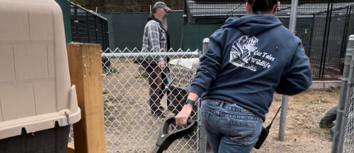 🐾 What It Really Costs to Care for Rescued Wildlife