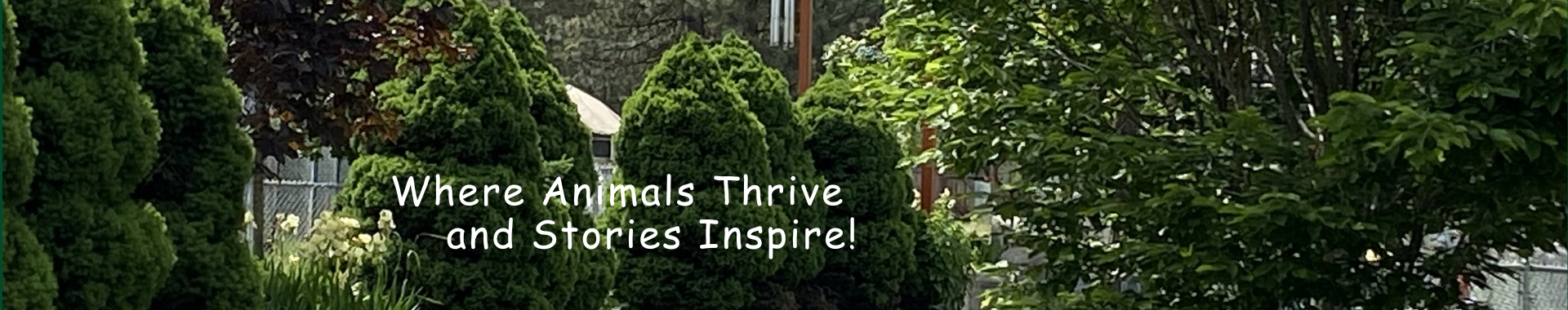 Cat Tales Wildlife Center of the park in full-leaf